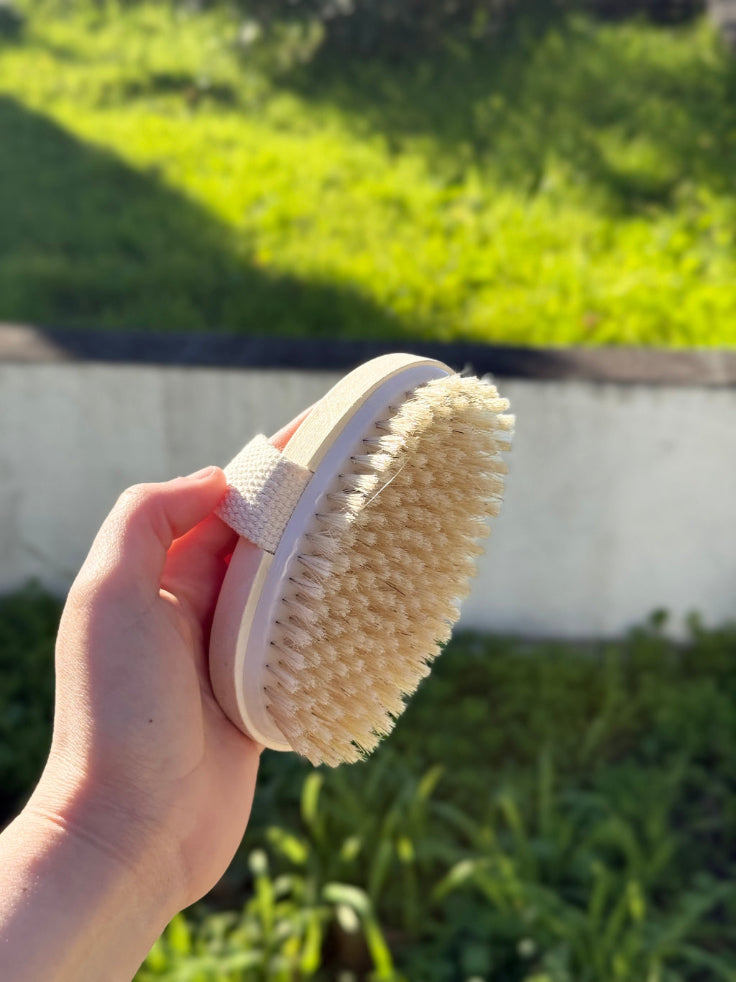 Brosse à sec Brushance